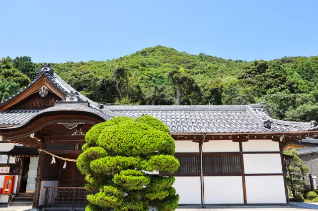 能感受到和風設計風格的建築物與雄偉松樹