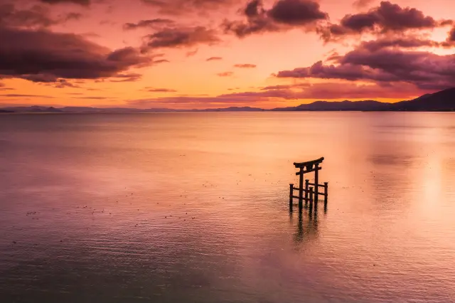 被夕陽染紅的琵琶湖與白鬚神社