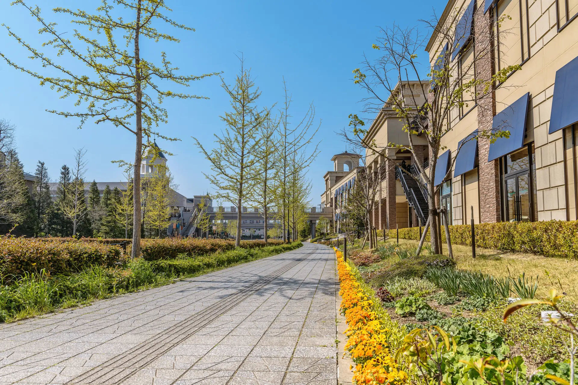 10 Shopping Spots You Should Visit in Sendai, Tohoku's Largest