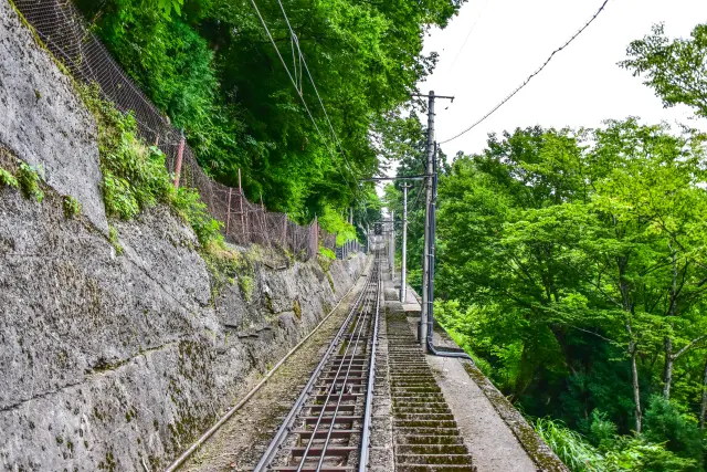 The changing scenery from lowlands to mountainous terrain is delightful.