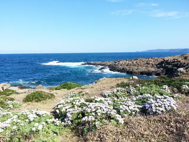 用全身感受自然之美，讓人身心放鬆的公園