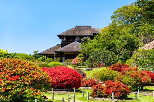 【超嚴選】一篇就夠！水戶必去景點11選