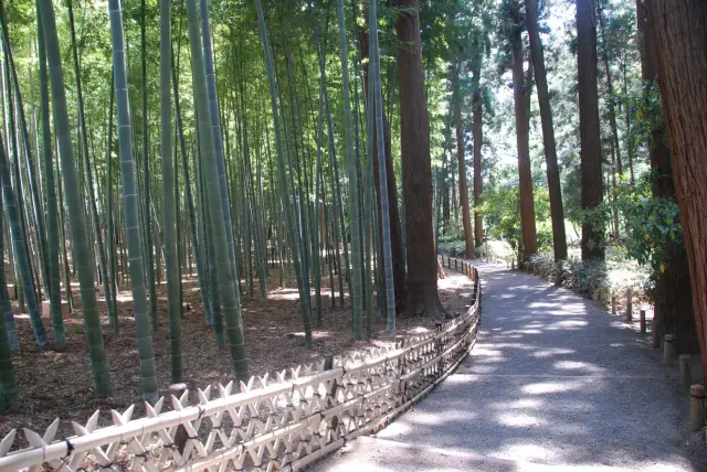 日本三大名園之一。在結合自然景觀的13公頃園區內，有許多令人緬懷過往的景點