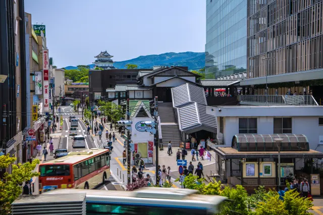 小田原車站周邊聚集了眾多餐飲店和伴手禮店