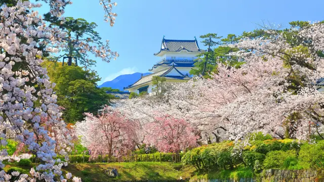 【超嚴選】一篇搞定！小田原必去景點9選