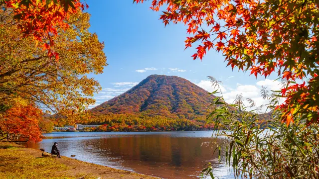 【超嚴選】一篇搞定！高崎必去景點8選