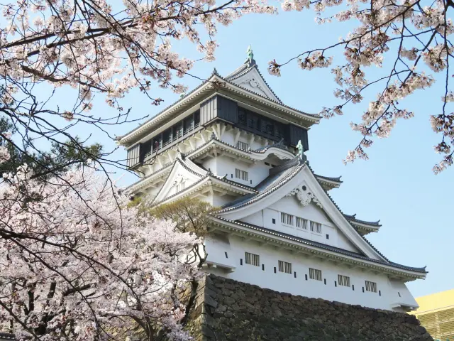 福岡縣唯一擁有天守閣的城堡，同時以賞櫻景點而知名