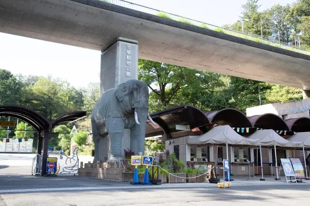 [Your Guide to Enjoying Tama Zoological Park] From Ants to Elephants, Discover a Hiking-Style Zoo Adventure