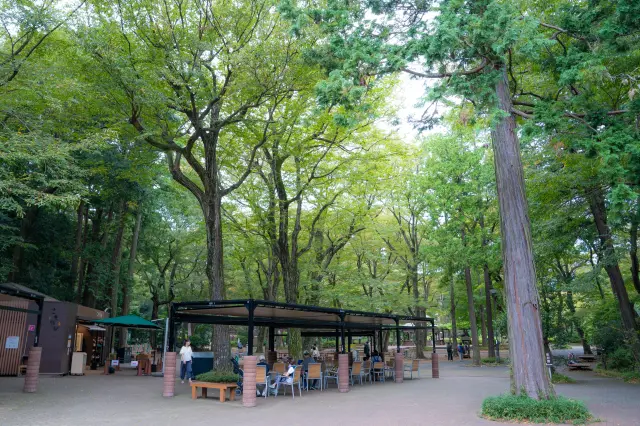 Plenty of rest areas allow you to enjoy the park at your own pace.