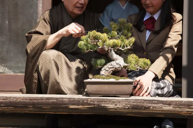 鉢という人工的な空間の中で自然を育むのが盆栽の魅力のひとつ