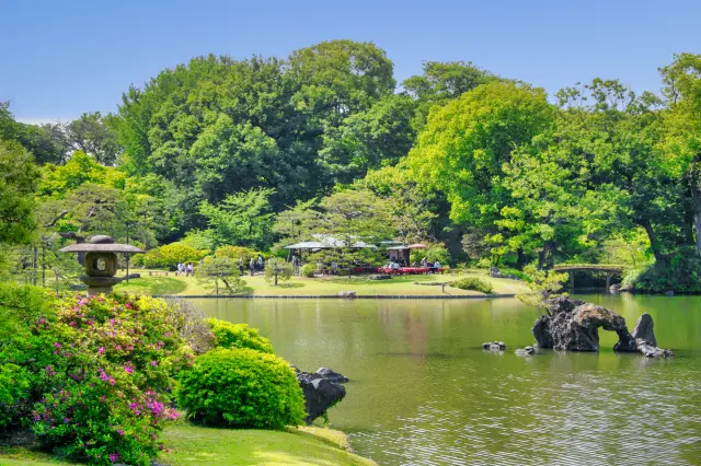 日本庭園にも大きな影響を与えた盆栽