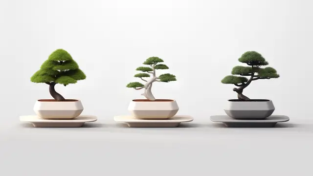 日本の伝統文化・芸術の世界へ！盆栽の楽しみ方