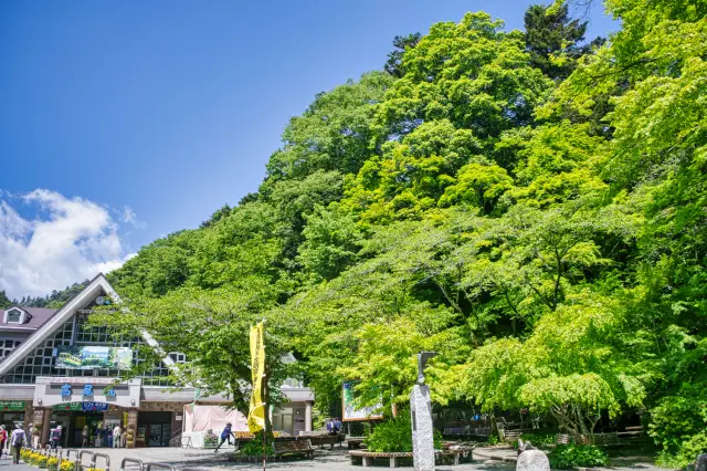 Enjoy Japan’s culture alongside the beauty of fresh green foliage.