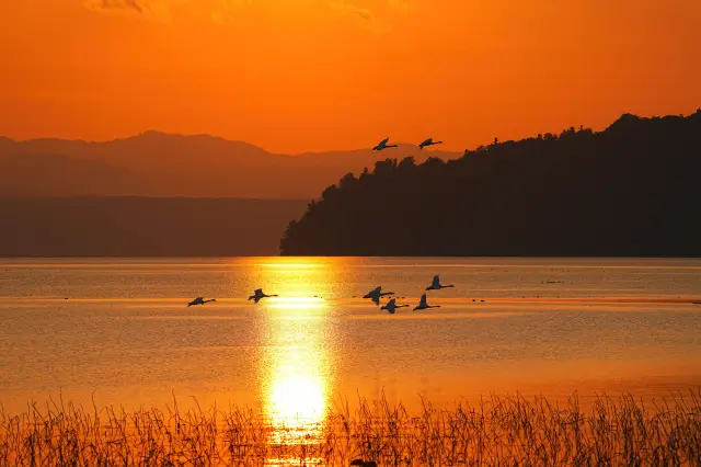 琵琶湖の歴史や特徴を知った上で見る絶景は一味違うだろう