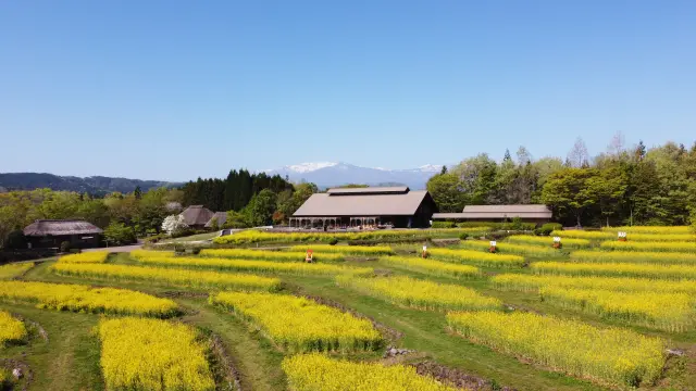 被豐富的自然美景環繞，能讓人玩上一整天的大型公園