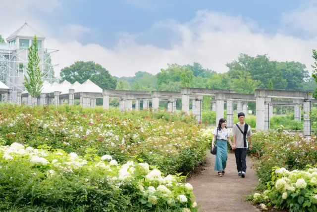 以五感盡情感受花與自然的體驗型主題樂園