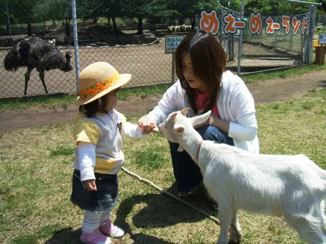 可在大自然中與各種動物近距離接觸的觀光牧場