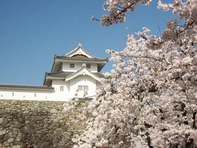 建於『日本百名城』之一「甲府城」城址上的公園