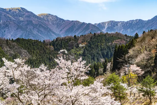 馬籠宿から望む恵那山山麓の春の絶景