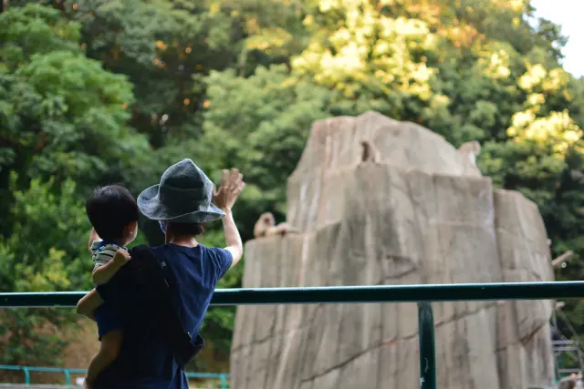 【福岡親子推薦景點17選】大人小朋友都盡興！最適合帶小孩造訪的福岡景點都在這了～