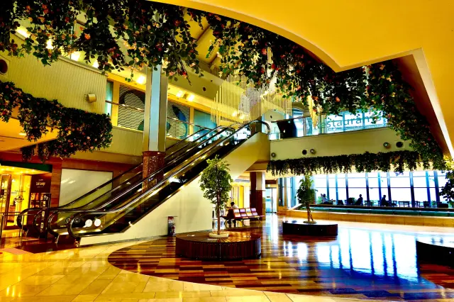 直通第1航廈的綜合設施AEROPLAZA，是旅客需知的便利區域