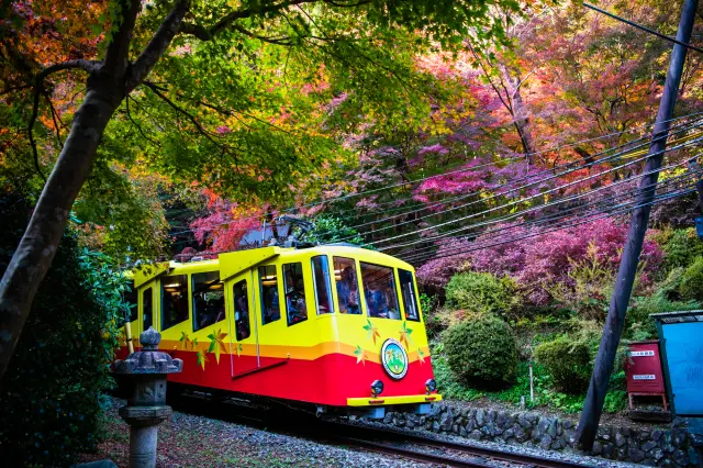 运行于高尾山山麓至山腰之间的缆车