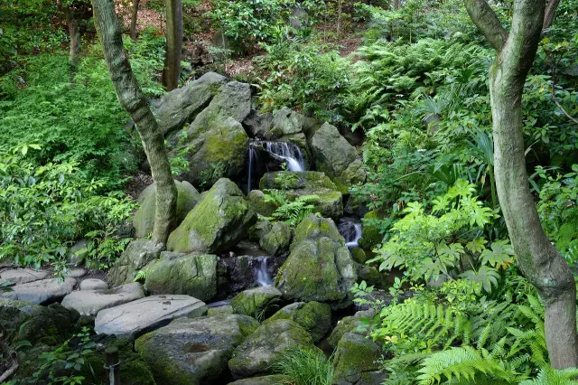利用過去藩邸建築改造而成的池泉迴遊式庭園，可欣賞四季更迭的花草與紅葉
