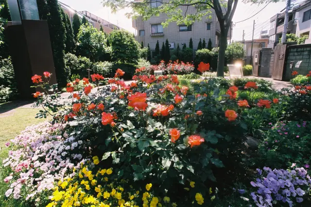 座落於住宅區內，充滿療癒氛圍的公園