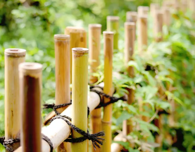 In Japan, the bamboo fence (takegaki) has seamlessly blended into the landscape of daily life.