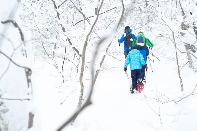 Explore the tranquil, snow-white world. (Photo for illustrative purposes only.)