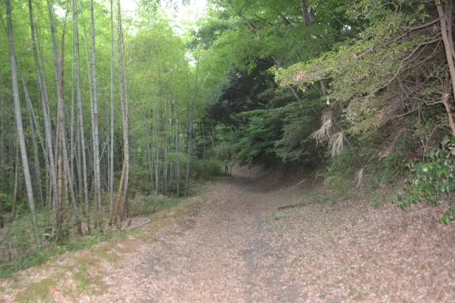 從八王子將生絲運往橫濱的「絹之道」