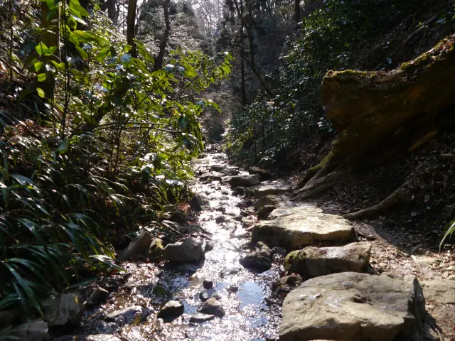 沿著小溪蜿蜒而上的6號路線