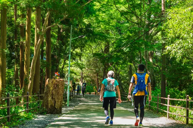 【高尾山礼节规范篇】登山时应遵守的8项礼仪与规范一篇掌握！