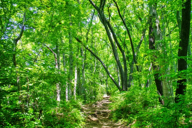 为了自身的安全，请务必行走在登山步道上