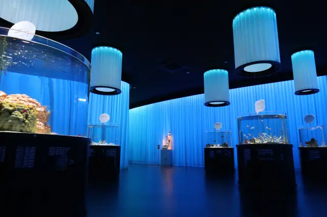 Experience the theme of "Colors" in a space with gently shifting hues.