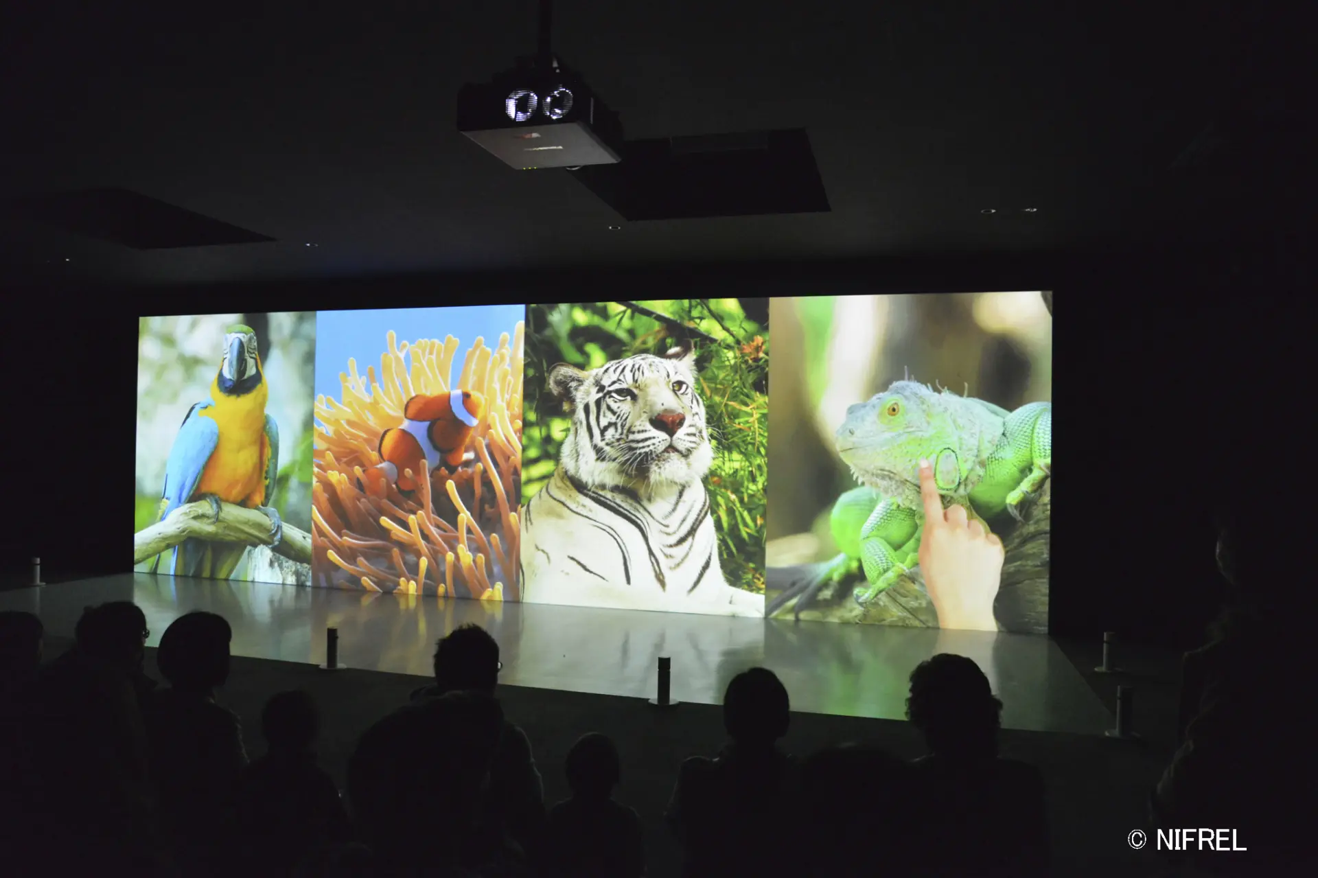 Permanent “Touching Connections” Installation Featuring Wall and Floor Screens
