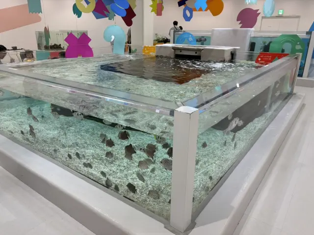 You can observe the creatures from above the tanks, but touching them is prohibited.