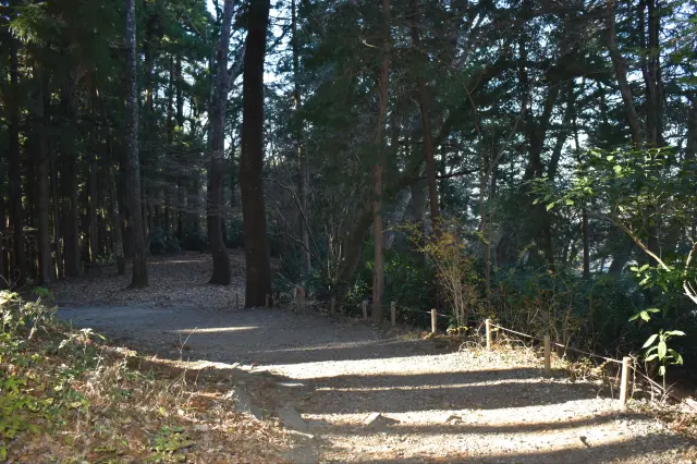 Trail 5 features wide, flat paths that are easy to walk, making it comfortable for all ages.