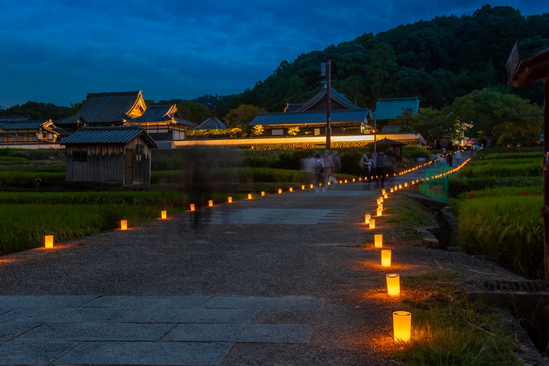 Use the perks to explore a variety of sightseeing spots