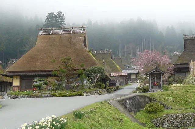 在保留著傳統茅葺民家的地區，沉浸於日本傳統文化的氛圍中