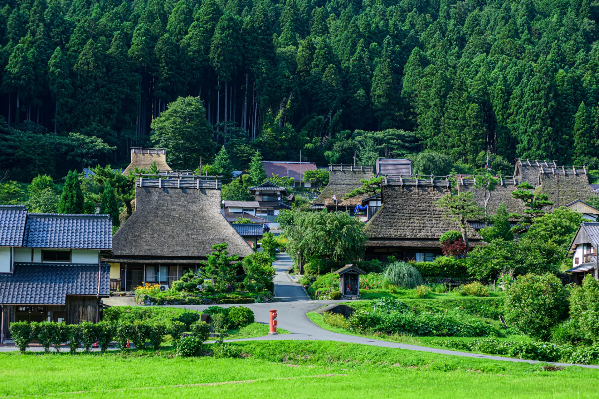 美しい里山の風景と文化を満喫!美山町の人気観光スポット9選 | GOOD LUCK TRIP