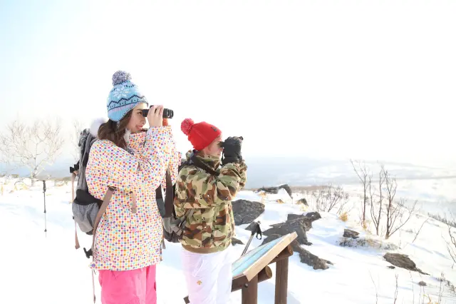 Meet the Birds of the Snowy World! Prime Birdwatching in Eastern Hokkaido This Winter