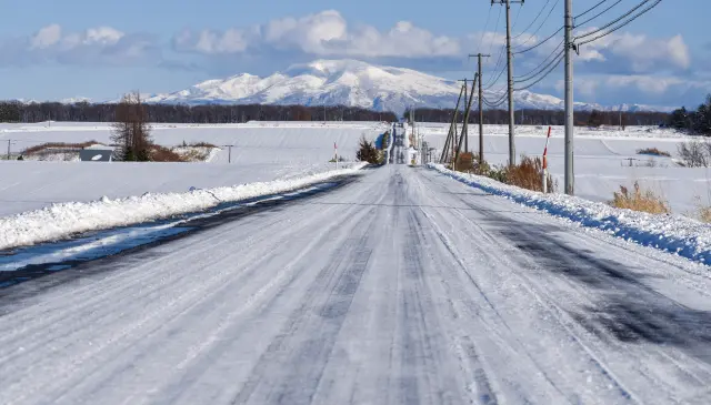 Avoid the danger of driving on icy roads by utilizing public transportation.