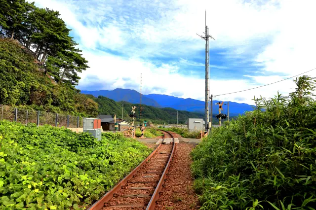 有不少只有青春18車票才能夠實現的旅行等著各位旅人去發現～