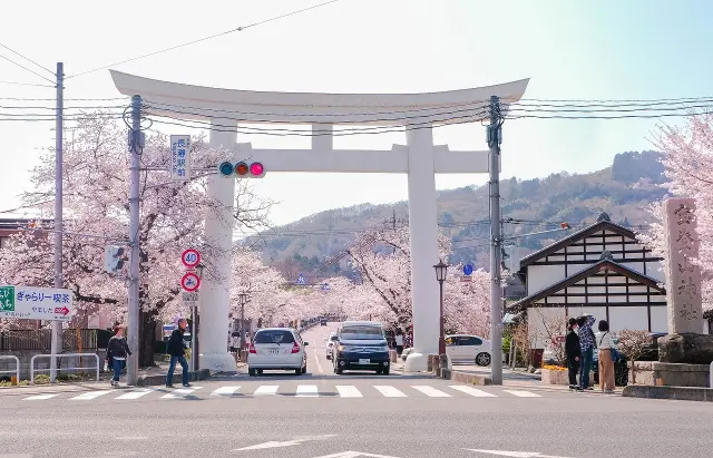 「寶登山神社」的白色鳥居與櫻花