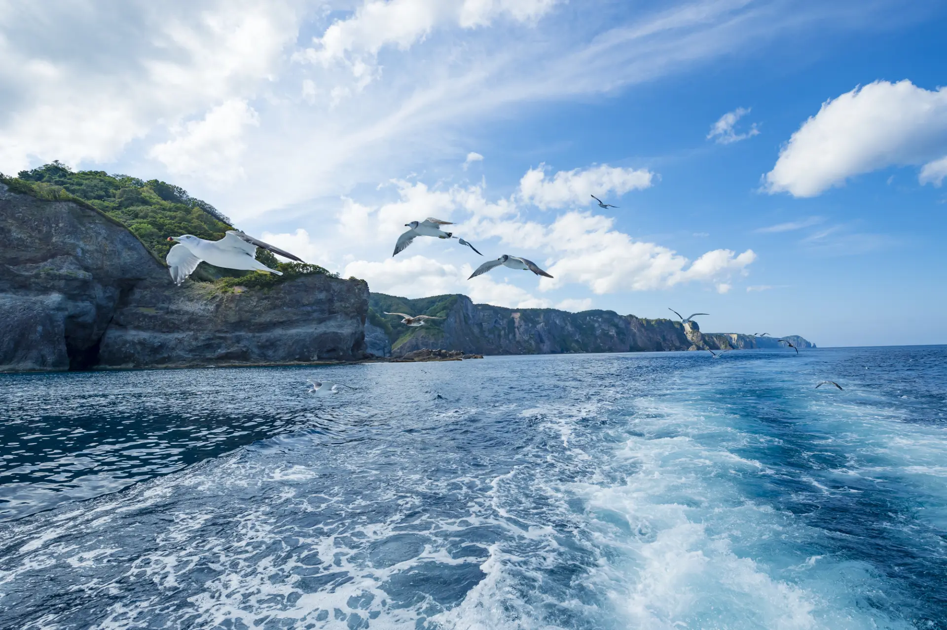 ＼地球の息吹をそのまま／ 緑豊かな箱根の中で他とはまるで様相が違う大涌谷。 赤茶けた地肌、立ち枯れた木々……あたり一面の硫黄の臭い。  荒涼とした風景が広がります。 しかしこれもまた生きている地球の姿。  大涌谷は、およそ3,000年前の噴火によって神山(標高1,438ｍ)が崩壊してできました。 現在もあちこちから硫化水素を含む噴煙が上がっています。  ..., image size:1920x1277