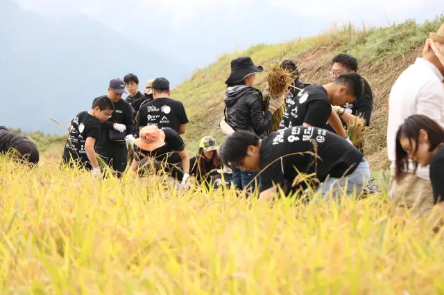 體驗水稻工作後更吃得出米飯的美味
