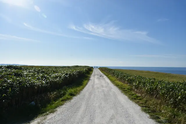 位於日本最北端的丘陵地帶，被壯麗的大自然環抱
