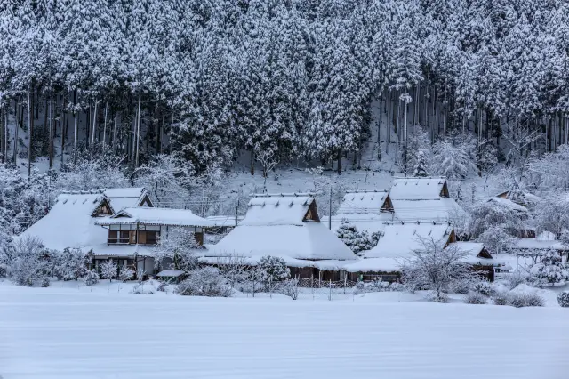 積雪覆蓋下散發著秘境氛圍的美山茅葺之里