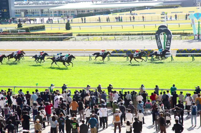 A Journey Through Horse Racing Culture, Traditions, and Cuisine: A Full Day Itinerary at Tokyo Racecourse